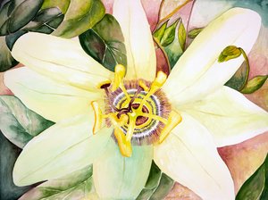 Passionsblume, 2007 von Deborah Eve Alastra