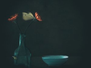 Dunkle Blumen Schmetterling von Delphine Devos