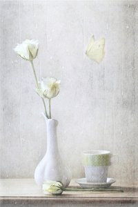 Zarte Rosen und Schmetterling