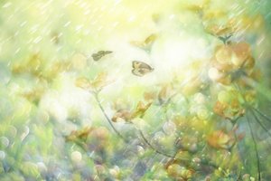 Träumerische Schmetterlingsblüten von Delphine Devos