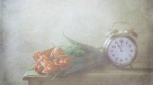 Träumende Tulpen und Zeit