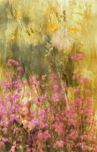 Goldene Wiesen-Schmetterlinge