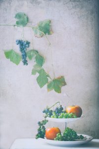 Erntefrucht Stillleben