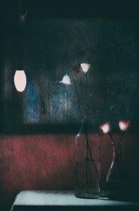 Stimmungsvolle Blumen-Stillleben