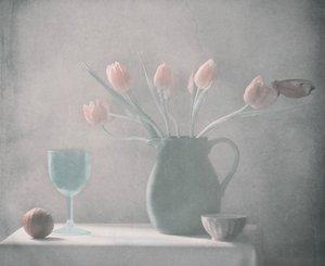 Pastell-Tulpen Stillleben von Delphine Devos