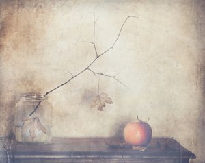 Rustikales Herbst-Stillleben von Delphine Devos