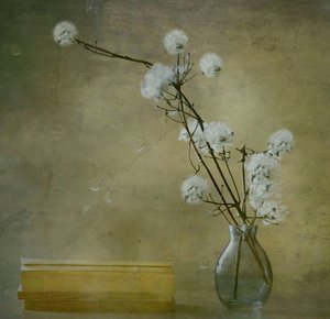 Gelassene Flauschige Blumen