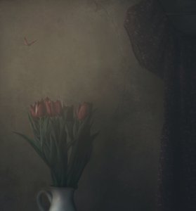 Beschattete Tulpen und Schmetterling von Delphine Devos