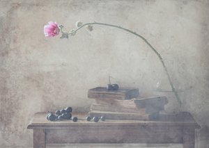 Vintage Bücher und Blüte von Delphine Devos