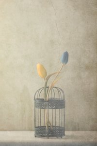 Vintage Käfig-Tulpen