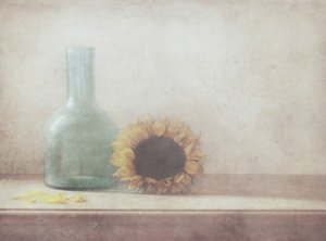Vintage Sonnenblumen-Stillleben von Delphine Devos