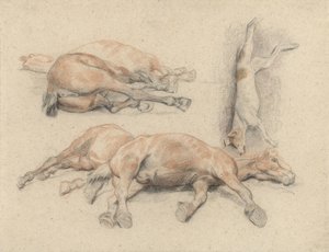 Studien eines Pferdekadavers und eines toten aufgehängten Hundes von Denis Auguste Marie Raffet