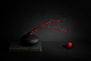 Rote Beeren Schwarze Vase Stillleben