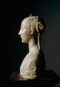 Büste einer jungen Dame von Desiderio da Settignano
