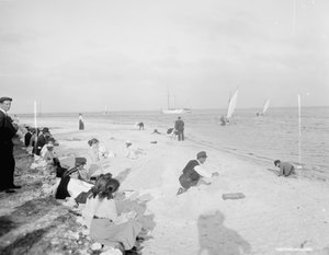 Am Ufer der Biscayne Bay, Miami, Florida, um 1905 von Detroit Publishing Co.