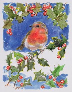 Weihnachtsrotkehlchen, 1996