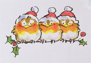 Weihnachtsrotkehlchen