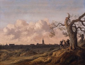 Den Haag von Norden gesehen (Les Dénicheurs d