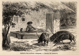 Behinderungen der Vorderbeine, so immobilisiert, von walachischen Schweinen, in Rumänien. Gravur zur Illustration der Reise von Paris nach Bukarest, von Lancelot, Zeichner, 1860, veröffentlicht in „Le tour du monde, nouveau journal des voyages“, unter der 