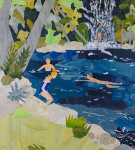 Wilde Schwimmer, Brasilien
