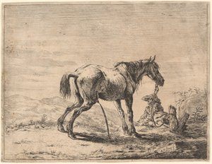 Steigendes Pferd in der Nähe eines Stalls