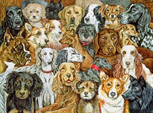 Hundeverbreitung, 1989