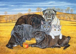Hocking County Pug-Katzen, 1995