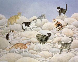 Lynn Valley Katzen