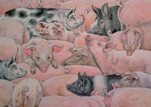 Schweine-Aufstrich