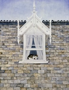 St. Helier Dachgaube Katze