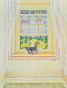 Fenstergänse
