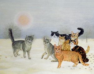Winter-Katzen