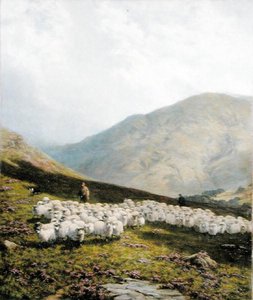 Hirte und Schafe, Perthshire