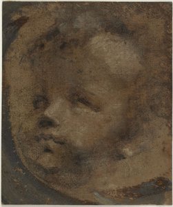 Kopf eines Putto von Domenico Beccafumi