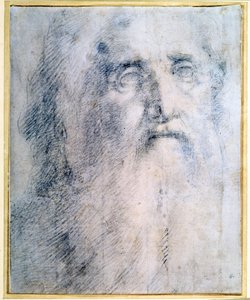 Studie eines alten Mannes mit Bart, ca. 1535