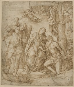 Die Jungfrau und das Kind mit den Heiligen Michael und Jerome, um 1520-25 von Domenico Campagnola