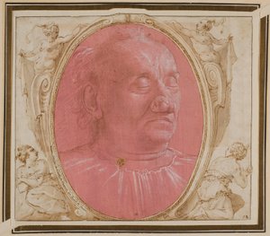 Kopf eines alten Mannes von Domenico Ghirlandaio