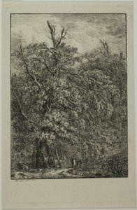 Großer Baum von Domenico Quaglio