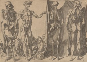 Zwei gehäutete Männer und ihre Skelette, ca. 1540-45