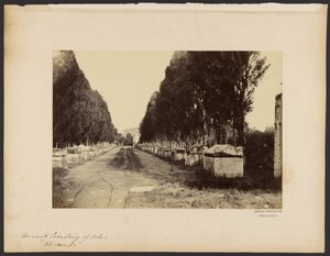 Alter Friedhof von Arles, "Alyscamps"