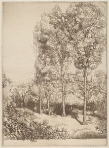 Sonnenlicht und Schatten, Nr. 3
