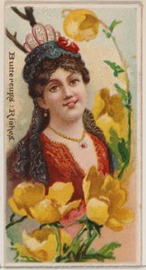 Butterblumen: Reichtum, aus der Serie Floral Beauties and Language of Flowers N75 für Duke von Donaldson Brothers