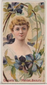 Clematis: Mentale Schönheit, aus der Serie Blumen-Schönheiten und Blumensprache von Donaldson Brothers