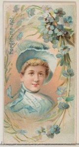 Vergissmeinnicht, aus der Serie Blumenpracht und Blumensprache N75 für Duke, 1892 von Donaldson Brothers