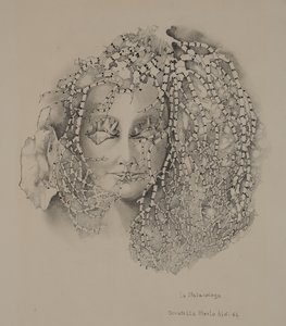 Die Malakologie von Donatella Merlo