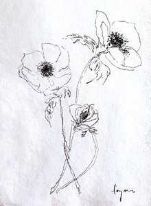 Zarte Blumenskizze von Dorothy Fagan