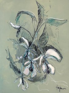 Elegante Orchideenskizze