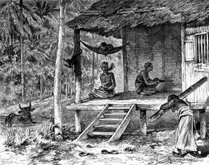Malaysische Hütte von Dosso