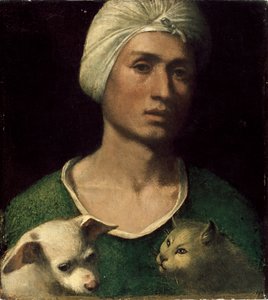 Porträt eines jungen Mannes mit einem Hund und einer Katze von Dosso Dossi