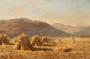 Ernte in der Nähe von Dumyat, Ochil Hills